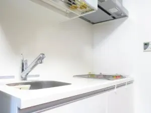 日神デュオステージ北浦和