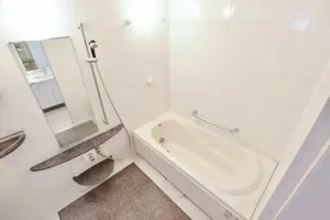 ランドステージ錦糸町２