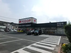 エンゼルハイム姪浜西