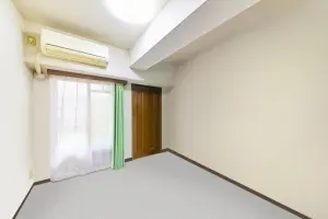 ナイスアーバン新川崎ステイツ