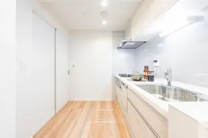 独立型のシステムキッチン（床下収納付き）