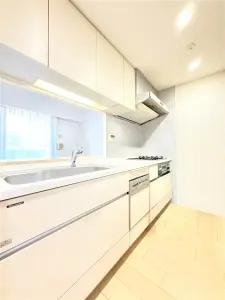 ライオンズ茅ヶ崎ザ・アイランズＩＩ街区