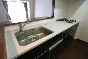 ライオンズステーションプラザ新越谷