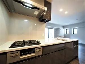 ザ・パークハウス丸の内三丁目