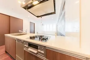 ザ　湾岸タワー　レックスガーデン