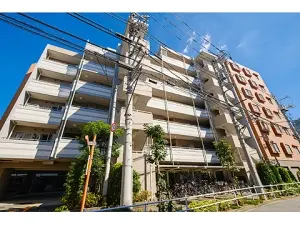 ライオンズテラス上板橋レジデンス