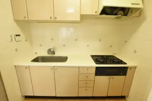 ライオンズマンション新大橋