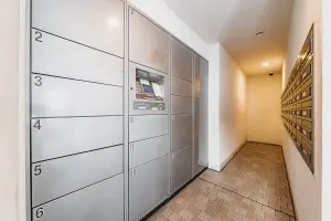 ライオンズステージ板橋