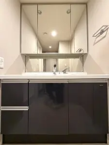 サンクタス鶴見緑地パークアドレス