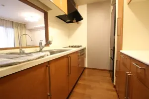 レクセルマンション習志野