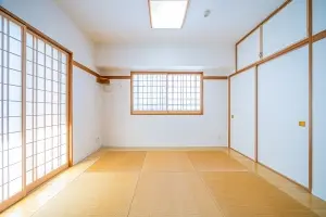 アデニウム川口元郷