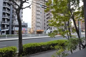 デュオヒルズ植田