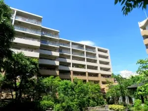 アデニウム吉祥寺