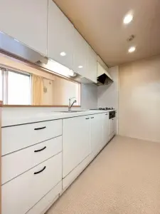 パークシティタワーズガーデン東棟
