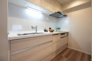 谷塚コリーナ・ライオンズタワー谷塚