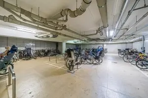 ザ・ライオンズ杉並　善福寺川緑地