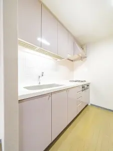 ライオンズプラザ錦糸町