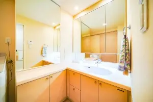 ライオンズマンション城北中央公園