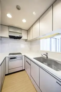 エルラフィナ白金