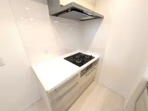 ライオンズマンション滝野川