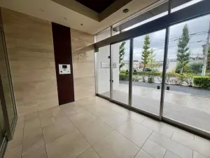 ベルドゥムール草加金明通り