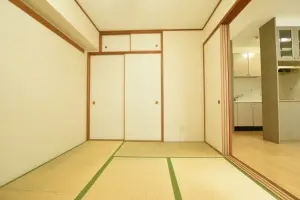 ライオンズマンション新大橋