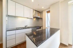 ＴＨＥ　ＴＯＹＯＳＵ　ＴＯＷＥＲ