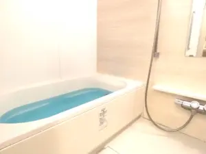 ネクサスシーズン戸塚