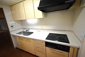 ロイヤルシャトー北円山ＥＡＳＴ棟