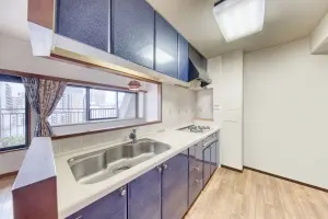 ダイアパレスグランデージ千住大橋