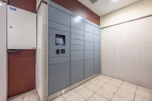 レクセルプラザ橋本