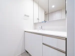 ザ・パークハウス曳舟