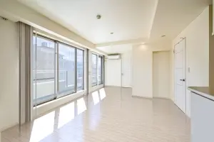 エルラフィナ白金