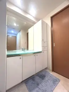 収納力豊富な洗面化粧台。ライトグリーンの差し色がスタイリッシュ。