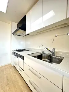 ライオンズマンション名西橋緑地