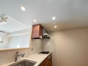 Ｂｒｉｌｌｉａ向ヶ丘遊園