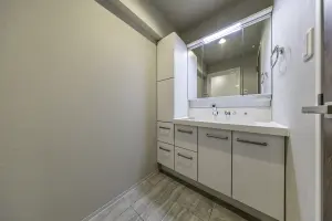 ライオンズマンション東麻布