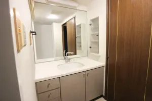 ライオンズステーションタワー北越谷