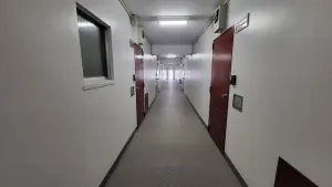 シャンボール弦巻