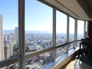 レジデンスタワー上本町