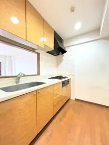 ライオンズマンション成城