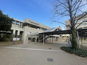 レックス・ラフィーナ西宮北口