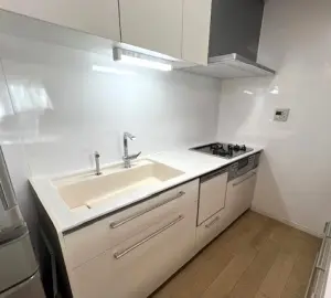 ライオンズマンション北目町第二