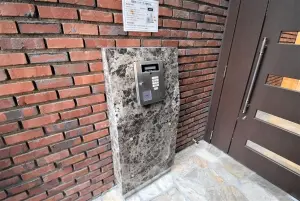 フェルテシモ田園調布