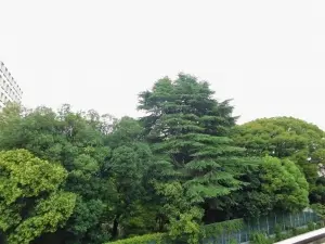 麻布台パークハウス