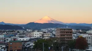 ライオンズプラザ平塚見附町