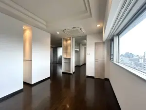 ライオンズシティ丸の内