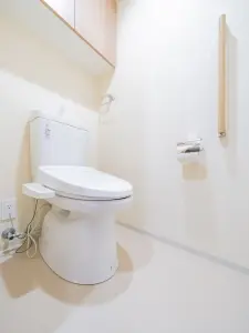 ライオンズタワー柏