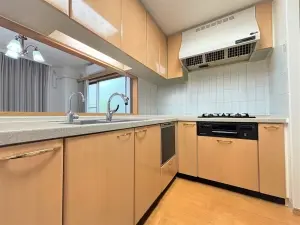 ゼファー市川ルフトファルベ