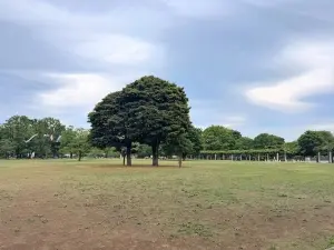 ライオンズガーデン西国分寺